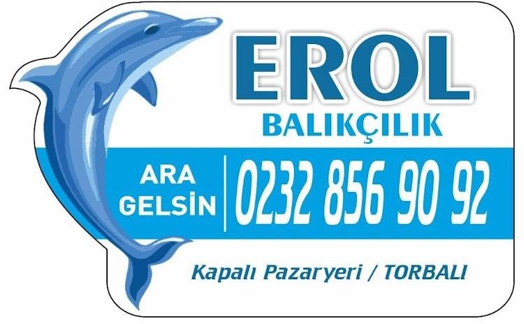 EROL BALIKÇILIK LOGO TASARIM